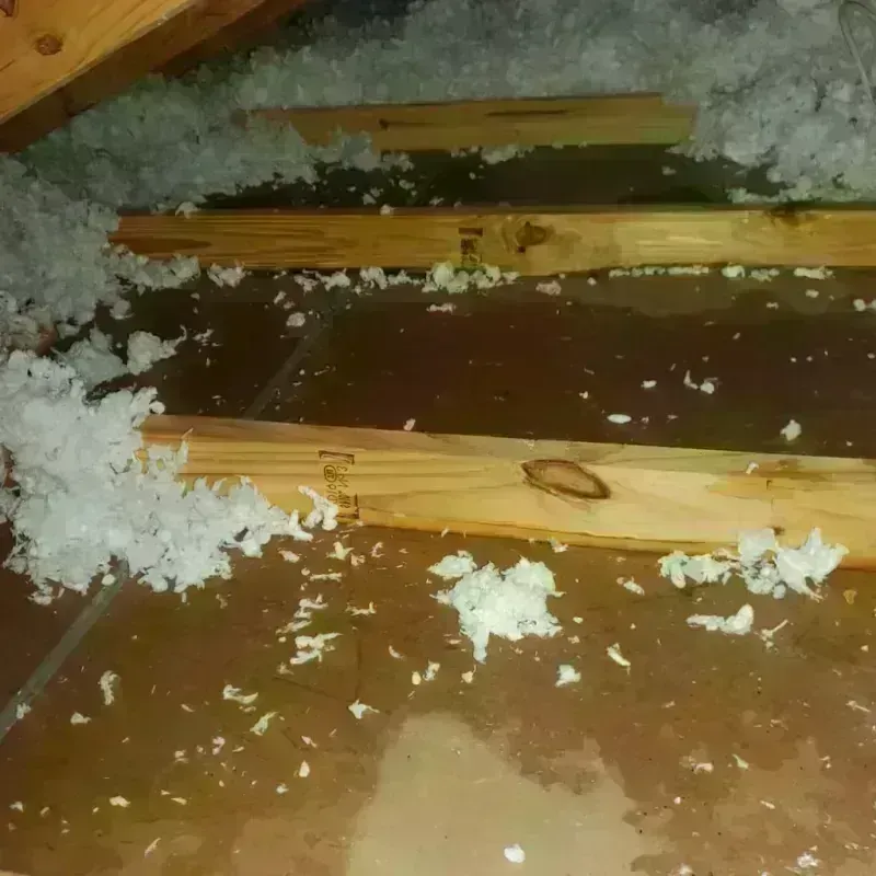 Attic Water Damage in Ford City, CA